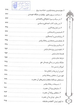  سیره و سیمای ریحانه پیامبر (ص)