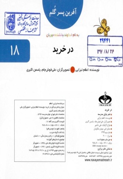 در خرید  (آفرين پسر گلم 18)