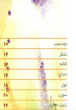 سلام آدم فضایی