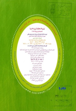 نی‌نی‌ها و هولولو (نی‌نی دختری) 
