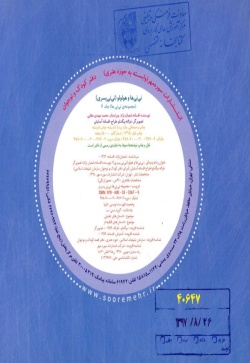 نی‌نی‌ها و هولولو (نی‌نی پسری)