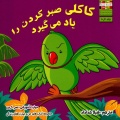 کاکلی صبر کردن را یاد می‌گیرد: مهارت آموزشی: صبرکردن